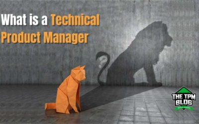 Role Of A Technical Product Manager 